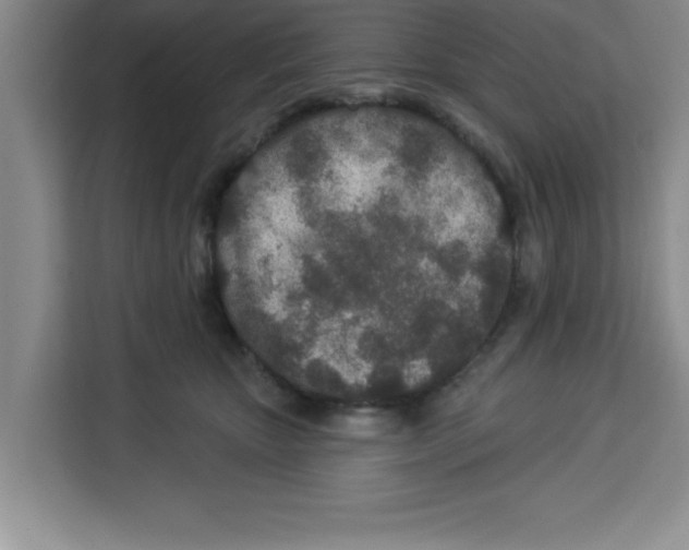 X0000113920467200910221357