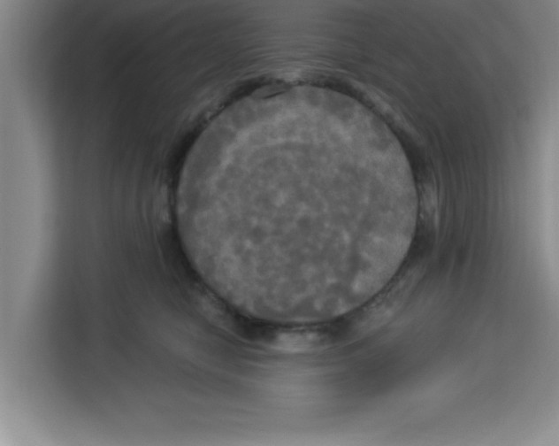 X0000113920470200910221357
