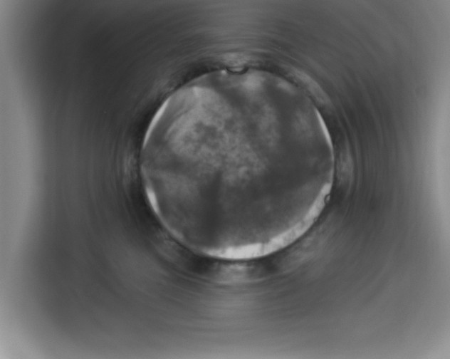 X0000113920473200910221357
