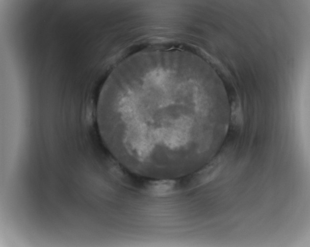X0000113920474200910221357