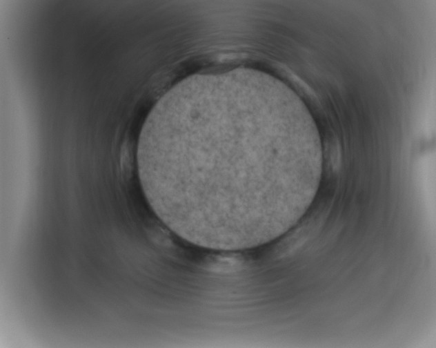 X0000113920475200910221357