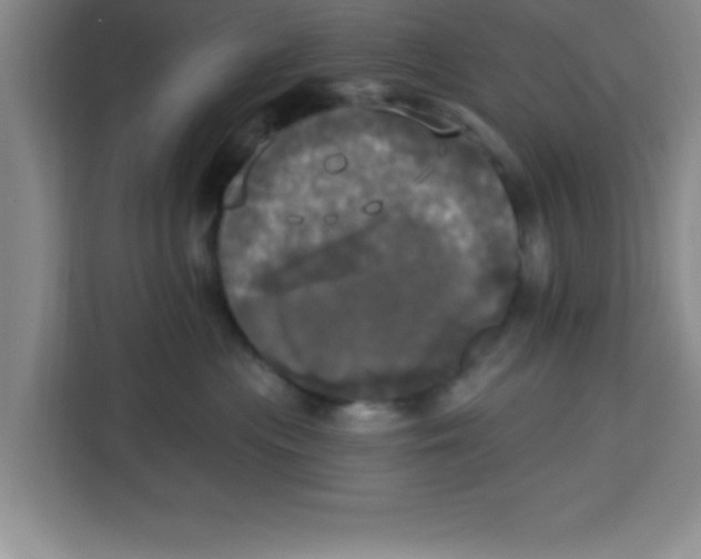 X0000113920477200910221357