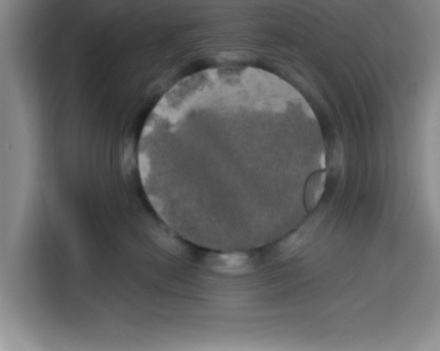 X0000113920478200910221357
