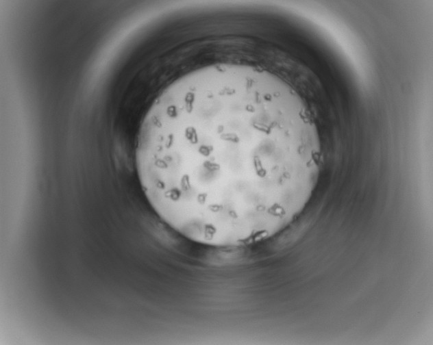 X0000113920479200910221357