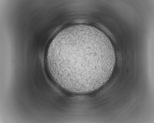 X0000113920482200910221356