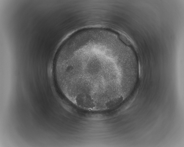 X0000113920483200910221356