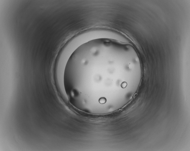 X0000113920485200910221356