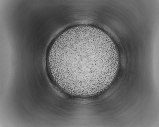 X0000113920486200910221356