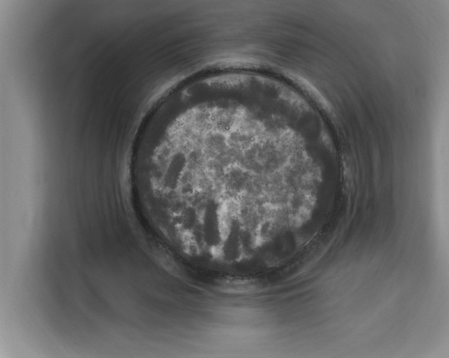 X0000113920487200910221356