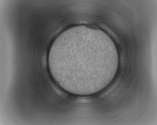X0000113920489200910221356