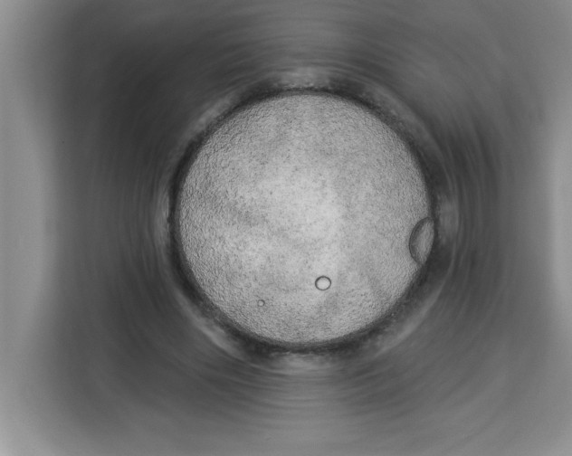 X0000113920490200910221356
