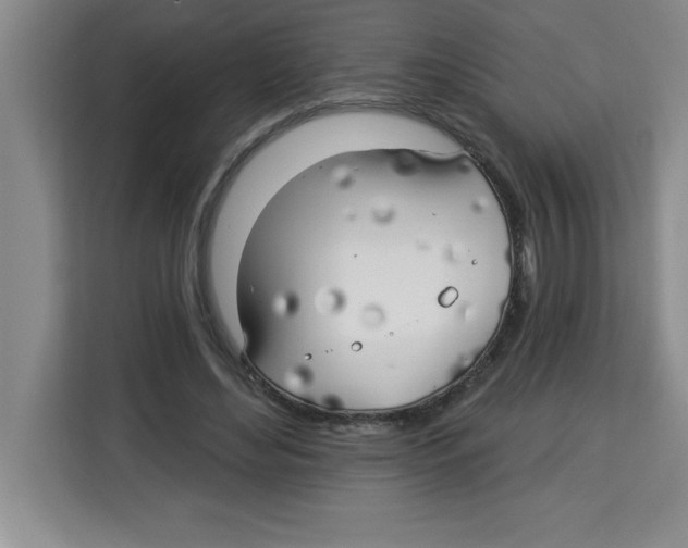 X0000113920492200910221356