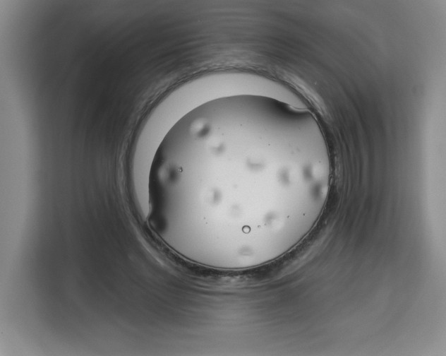 X0000113920493200910221356