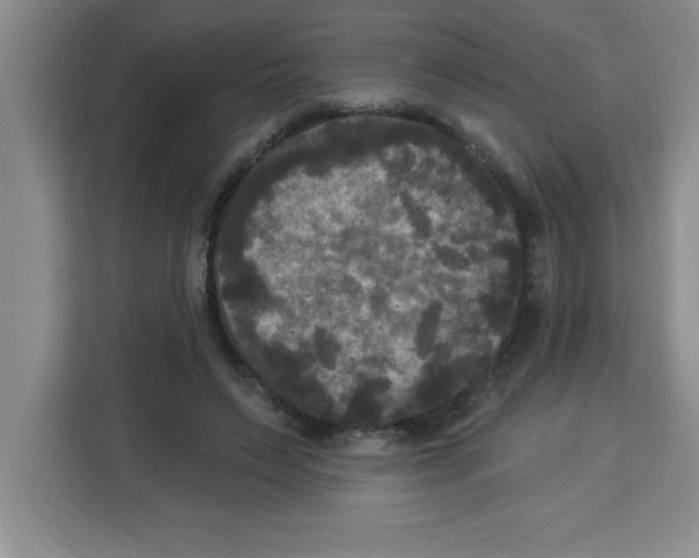 X0000113920495200910221356