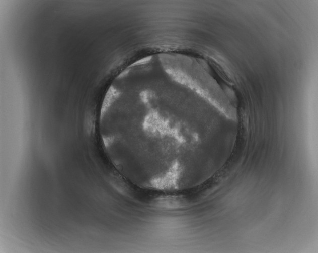 X0000113920499200910221356