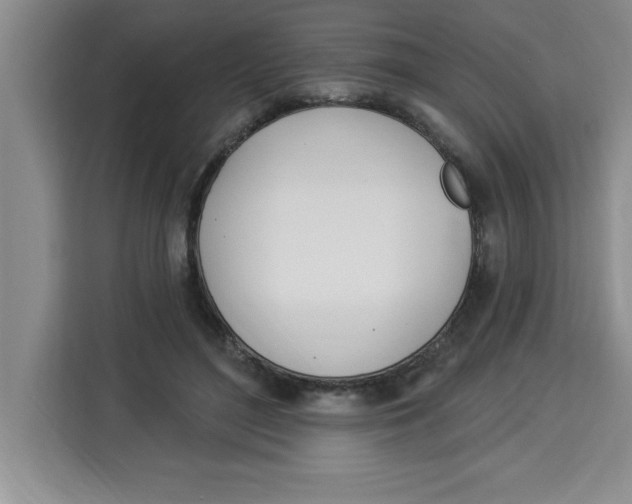 X0000113920500200910221356