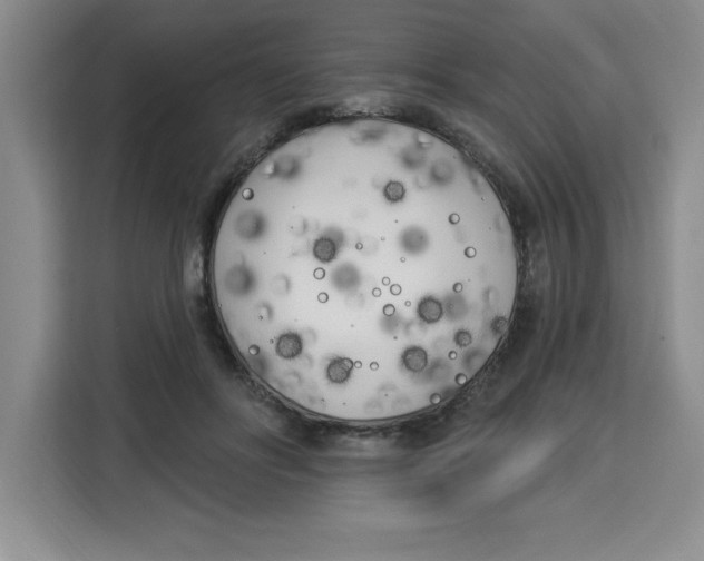 X0000113920502200910221356