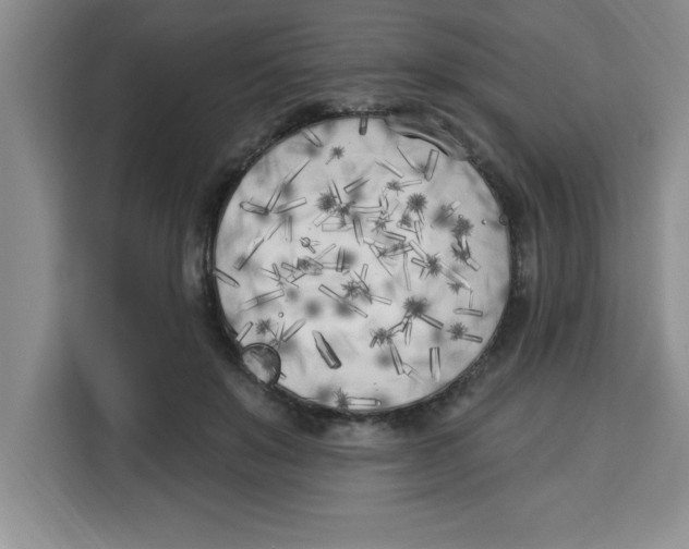 X0000113920503200910221356