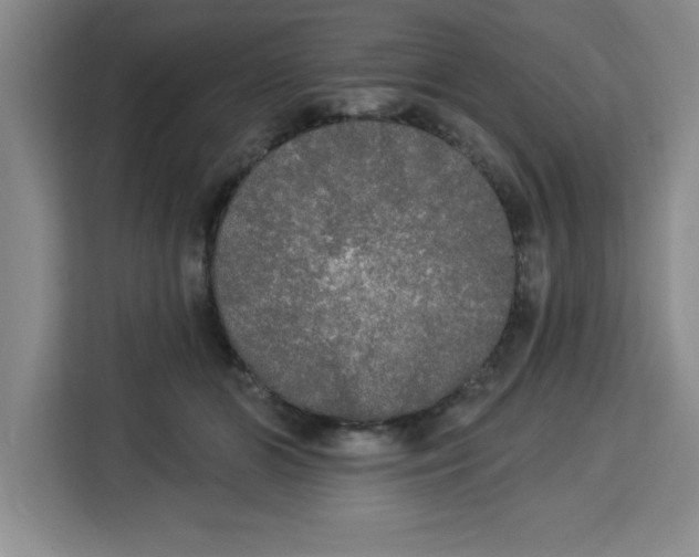 X0000113920510200910221356