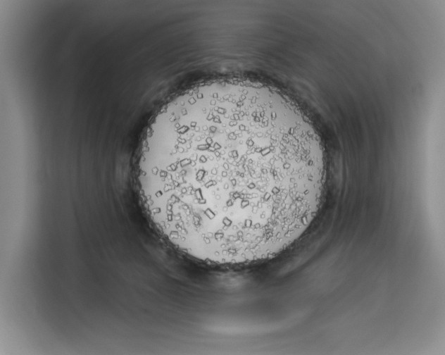 X0000113920511200910221356