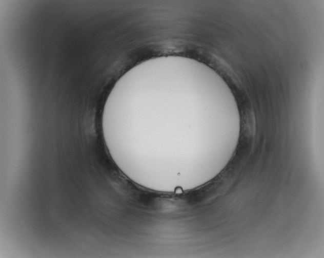 X0000113920512200910221356