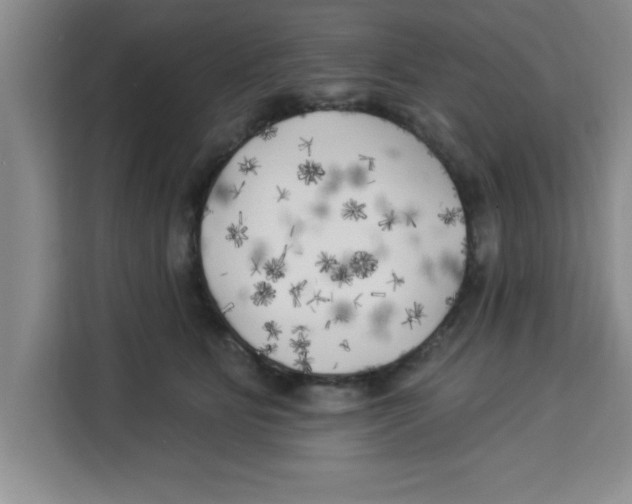 X0000113920515200910221356