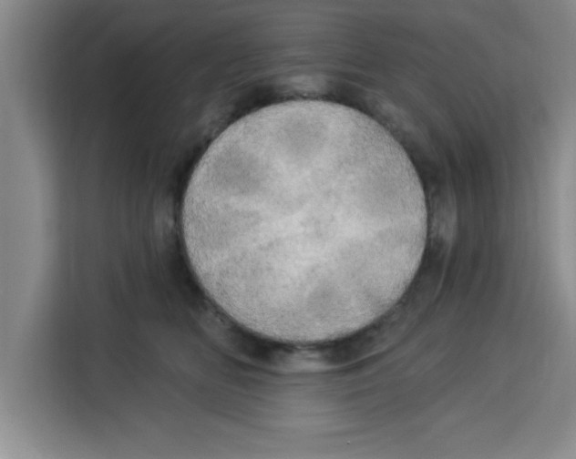 X0000113920518200910221356