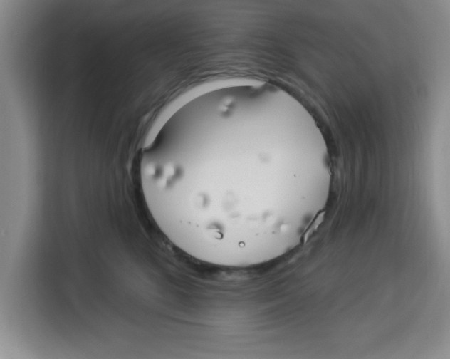 X0000113920520200910221356