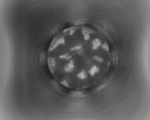 X0000113920523200910221356