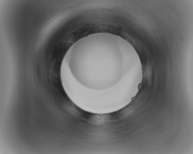 X0000113920526200910221356