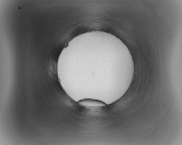 X0000113920528200910221356