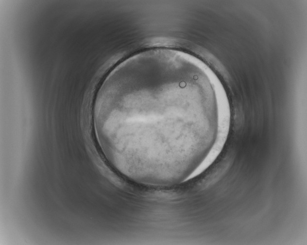 X0000113920529200910221355