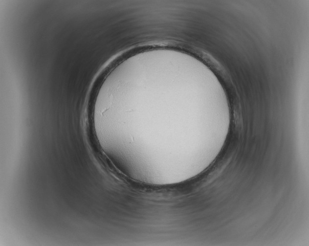 X0000113920532200910221355