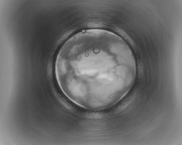 X0000113920533200910221355