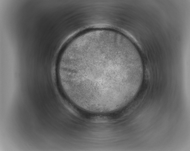 X0000113920535200910221355
