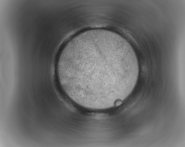X0000113920539200910221355