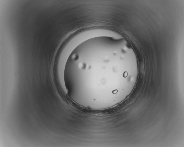 X0000113920540200910221355