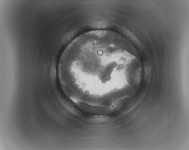 X0000113920541200910221355