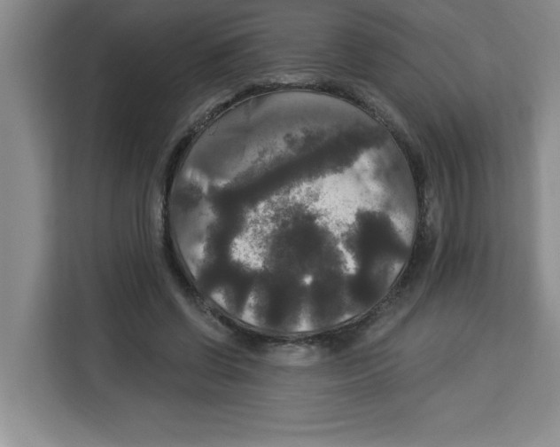 X0000113920542200910221355