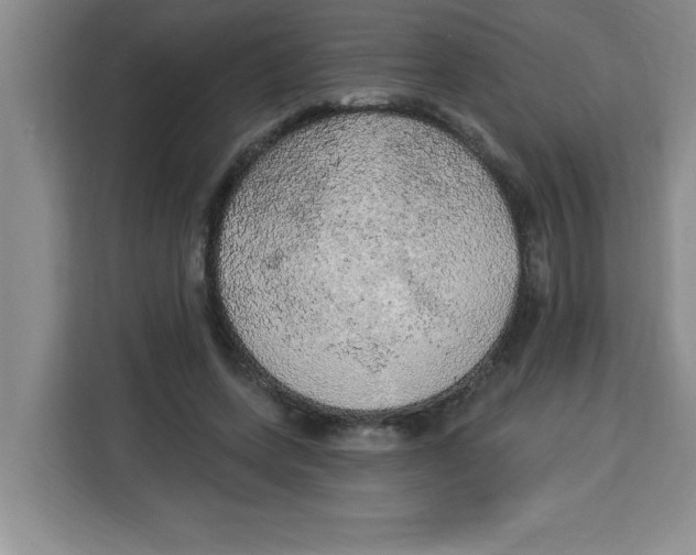 X0000113920543200910221355