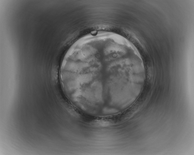X0000113920545200910221355