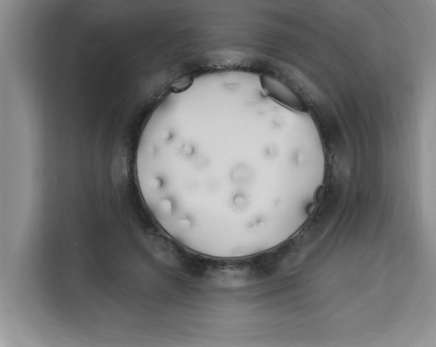X0000113920546200910221355