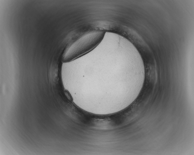 X0000113920548200910221355