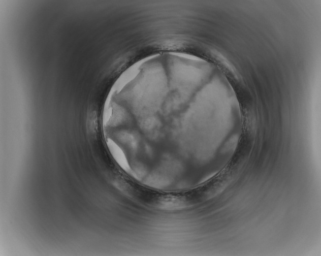 X0000113920549200910221355