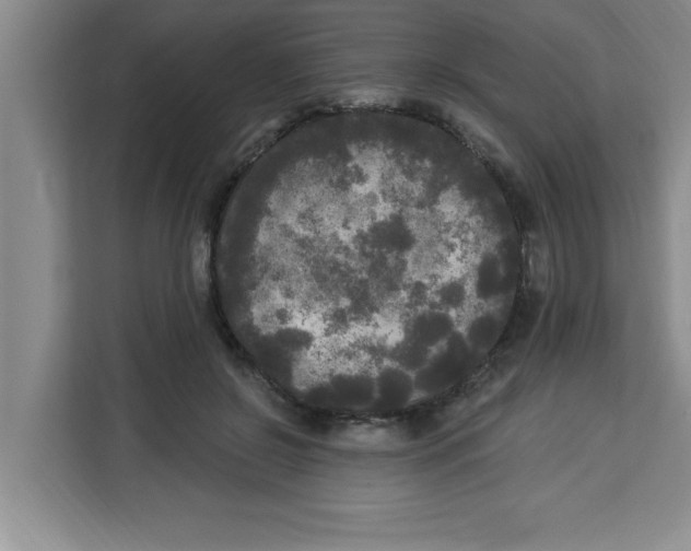 X0000113920550200910221355
