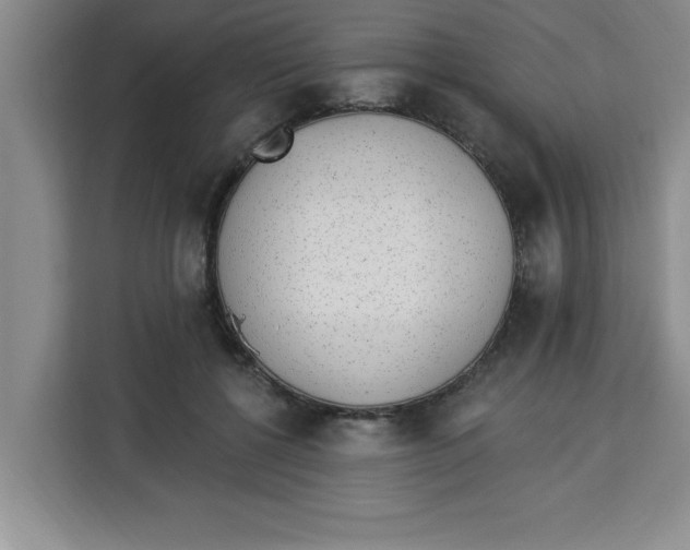 X0000113920552200910221355