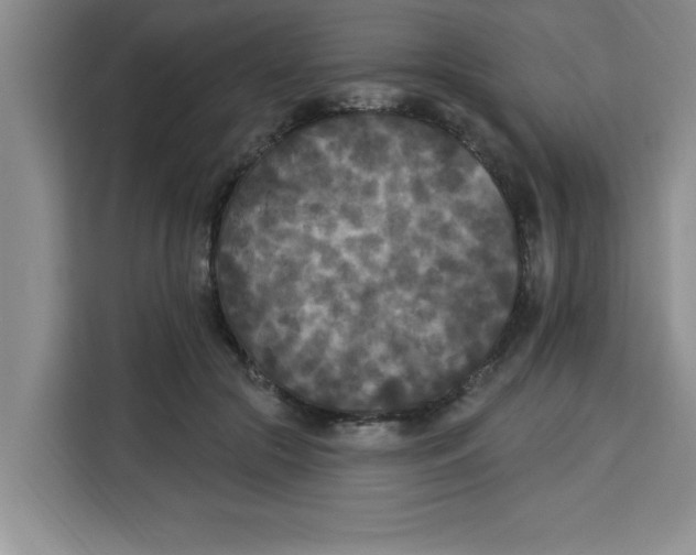 X0000113920553200910221355