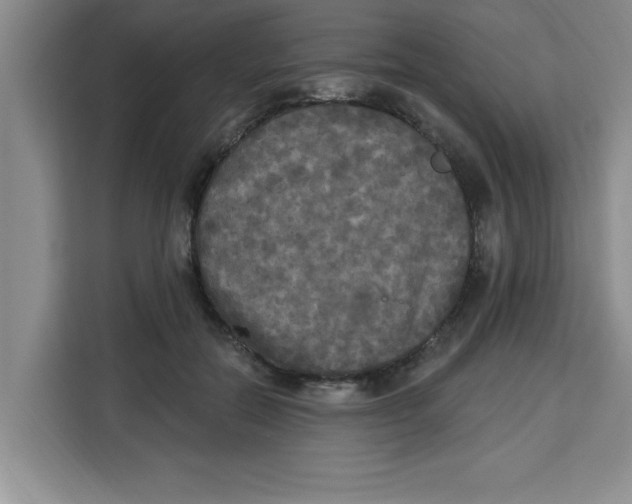 X0000113920554200910221355