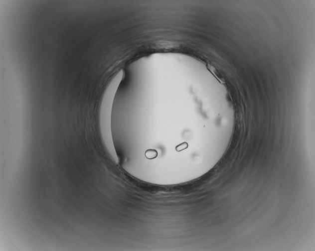 X0000113920556200910221356