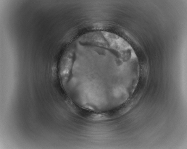 X0000113920557200910221356